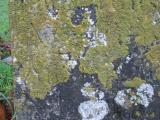 image of grave number 606968